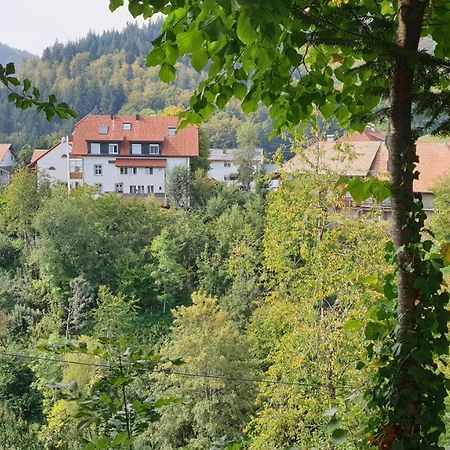 Ferienwohnung Auf Dem Bueckle Kleines Wiesental Esterno foto