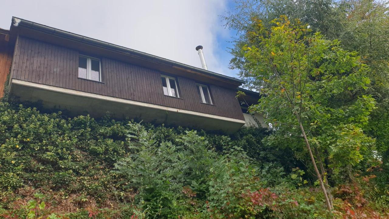 Ferienwohnung Auf Dem Bueckle Kleines Wiesental Esterno foto