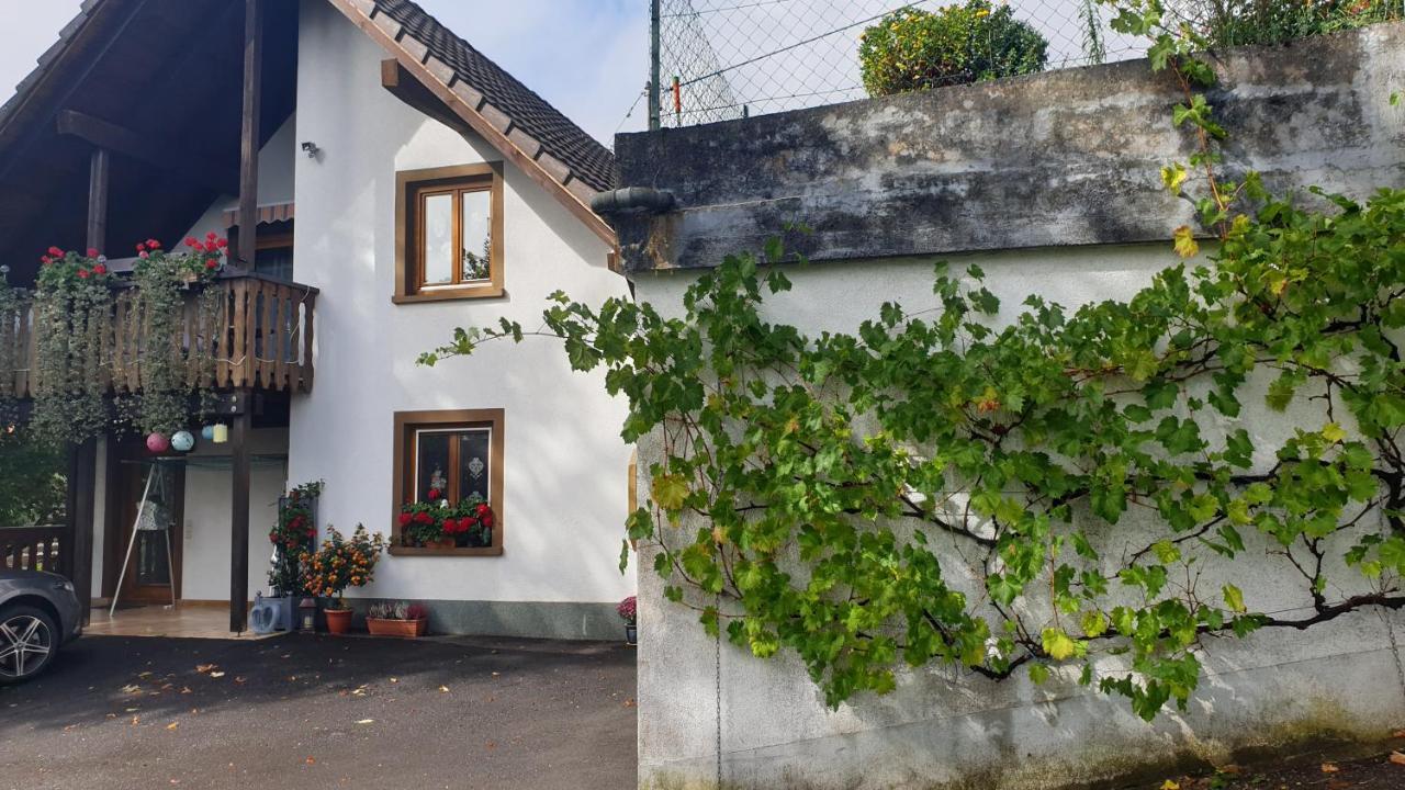 Ferienwohnung Auf Dem Bueckle Kleines Wiesental Esterno foto