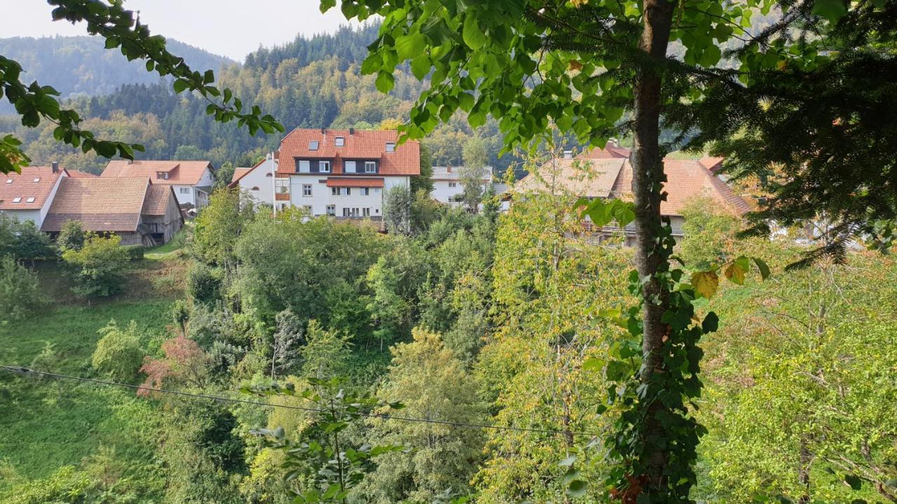 Ferienwohnung Auf Dem Bueckle Kleines Wiesental Esterno foto