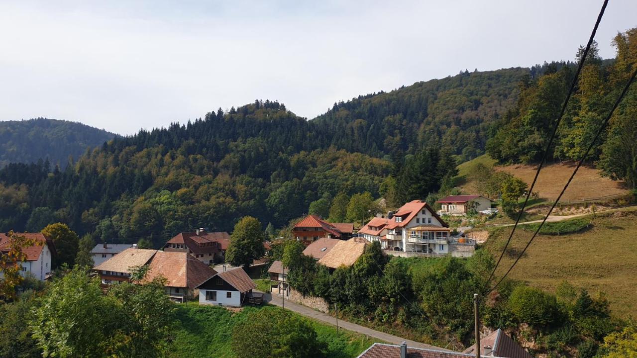 Ferienwohnung Auf Dem Bueckle Kleines Wiesental Esterno foto