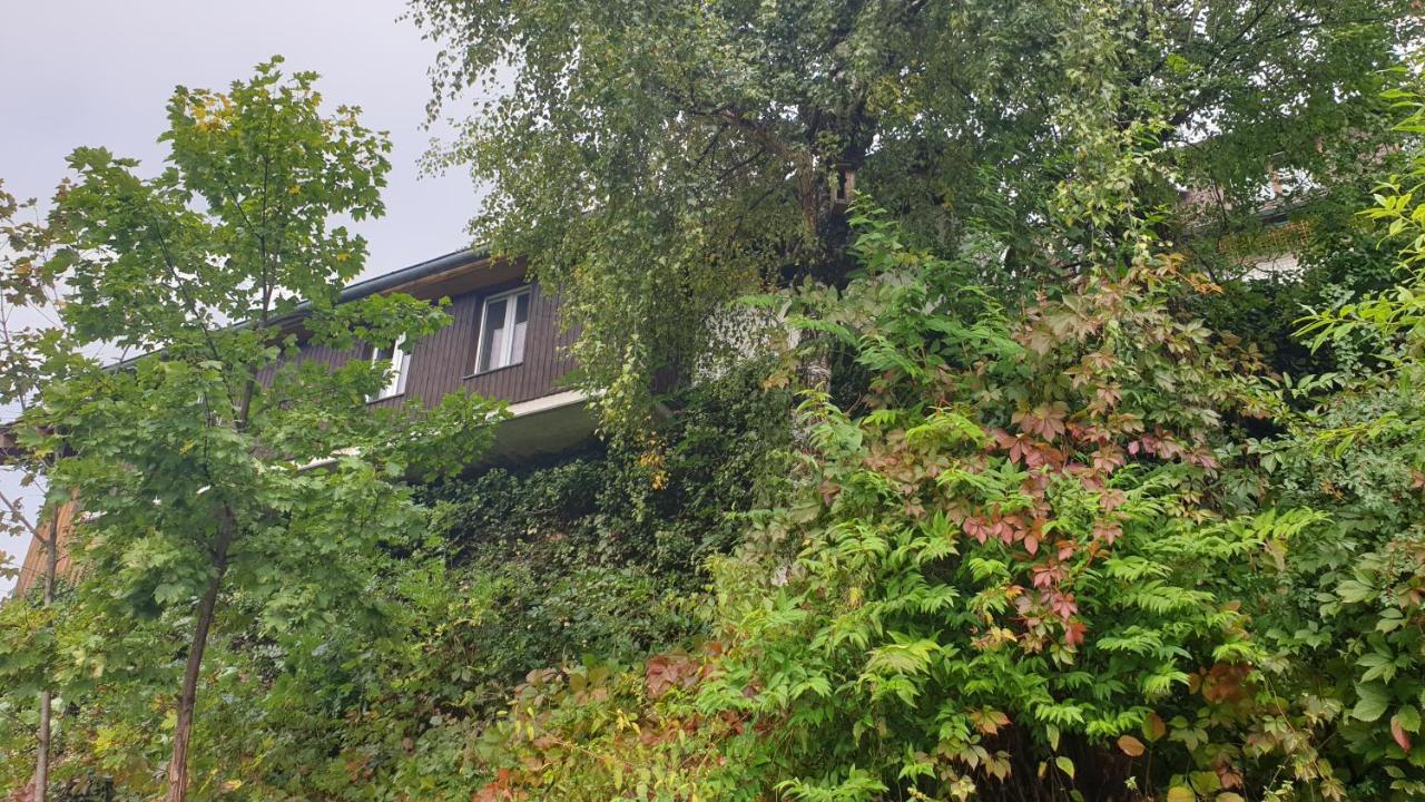 Ferienwohnung Auf Dem Bueckle Kleines Wiesental Esterno foto