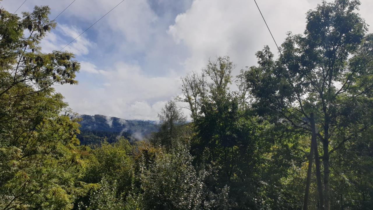 Ferienwohnung Auf Dem Bueckle Kleines Wiesental Esterno foto