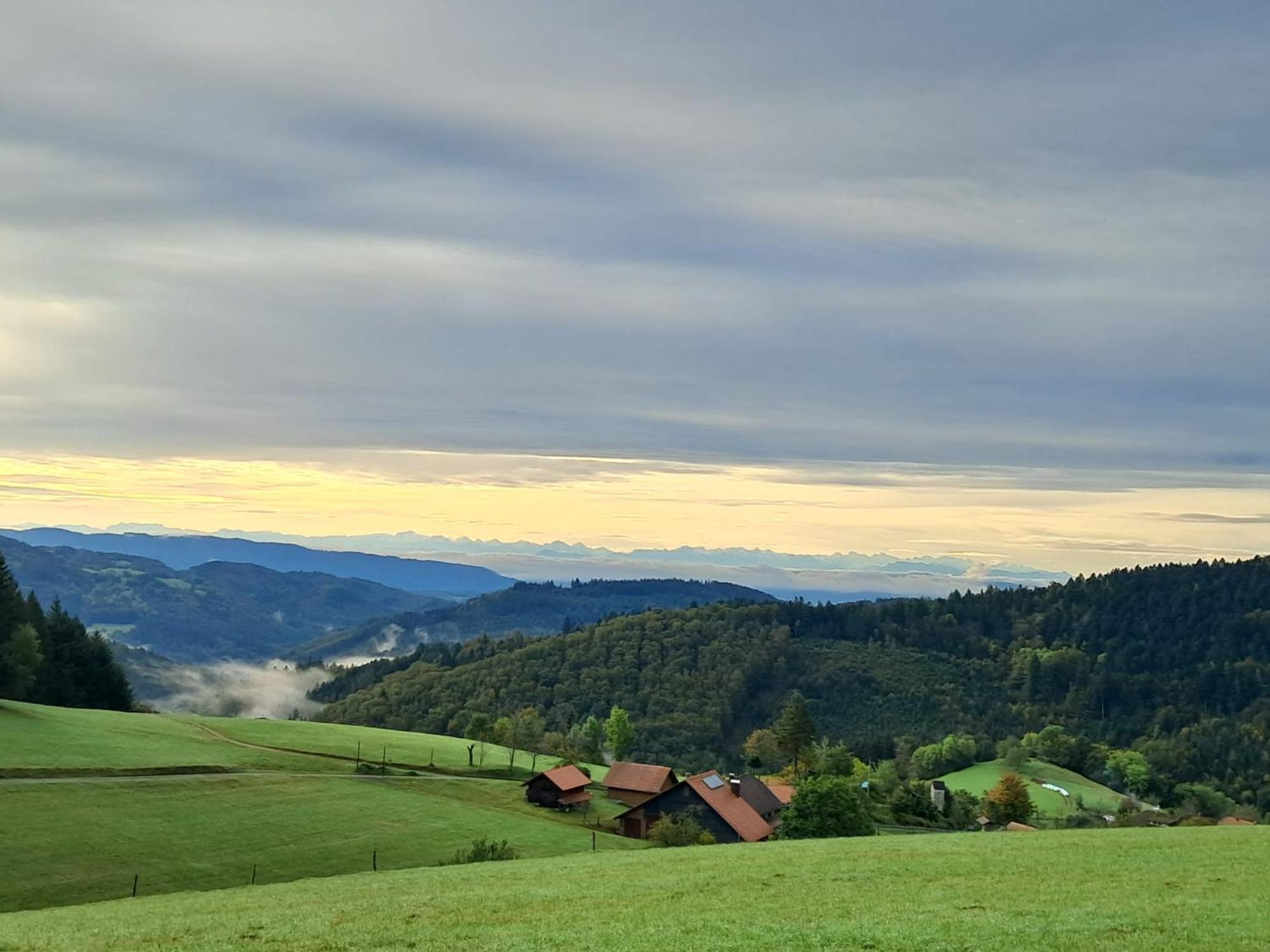 Ferienwohnung Auf Dem Bueckle Kleines Wiesental Esterno foto