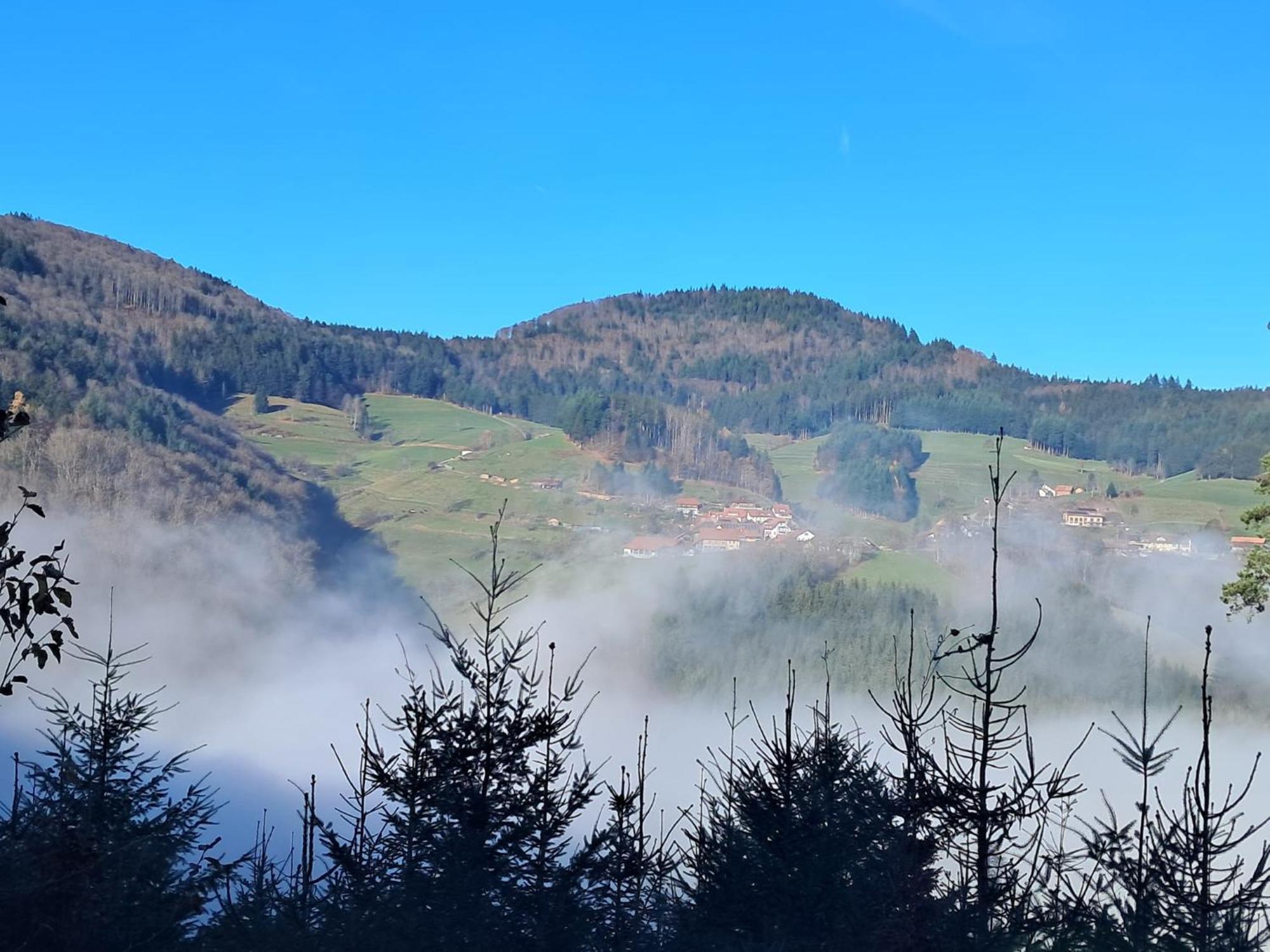 Ferienwohnung Auf Dem Bueckle Kleines Wiesental Esterno foto